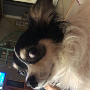 Meet your Posher, Gina